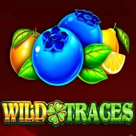 Wild Traces online slot from Amusnet Interactive – play at basssbet.de